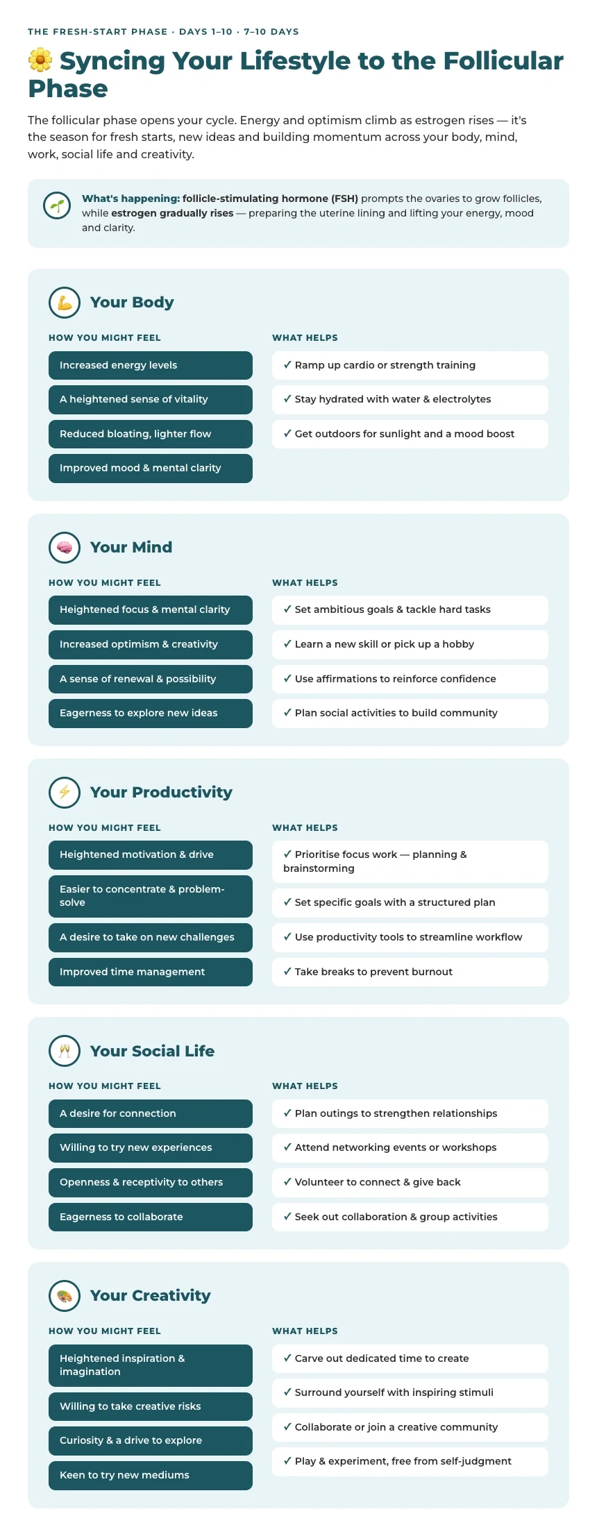 How to Sync Your Lifestyle During the Follicular Phase