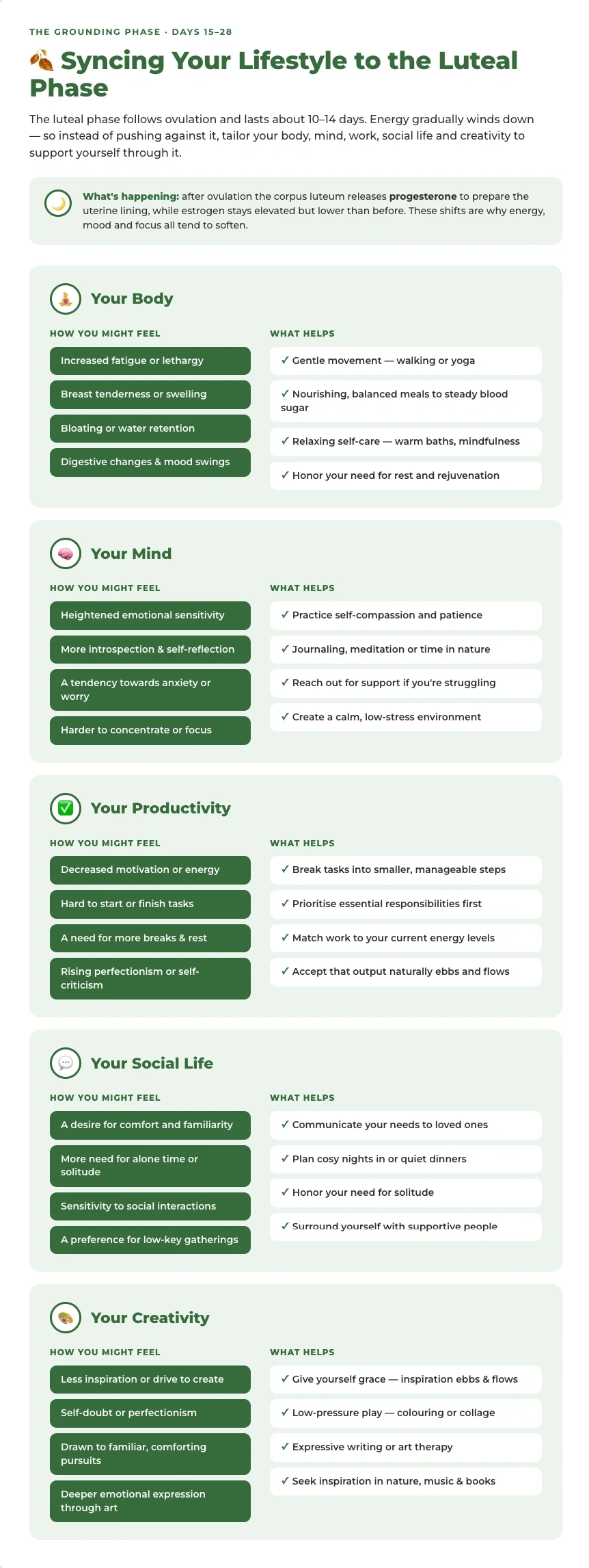 How to Sync Your Lifestyle During the Luteal Phase