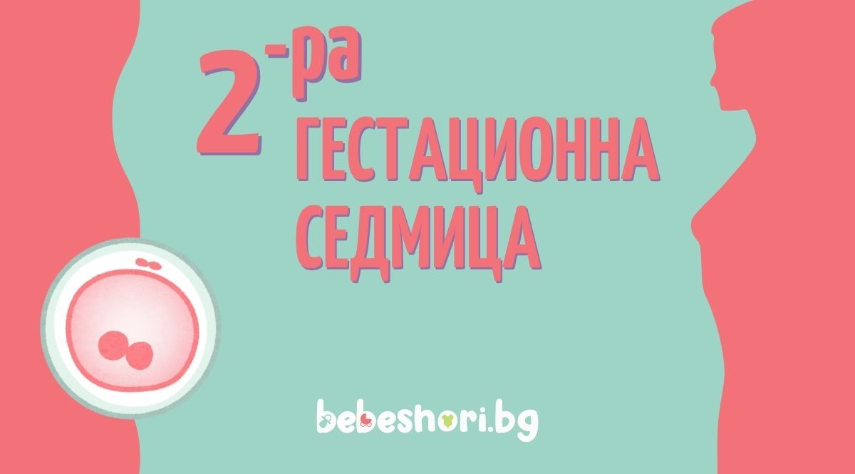Главна илюстрация за страницата