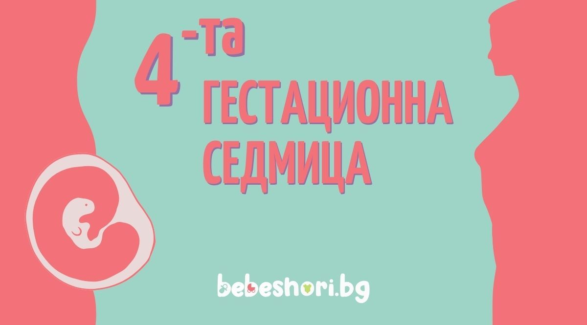 Главна илюстрация за страницата
