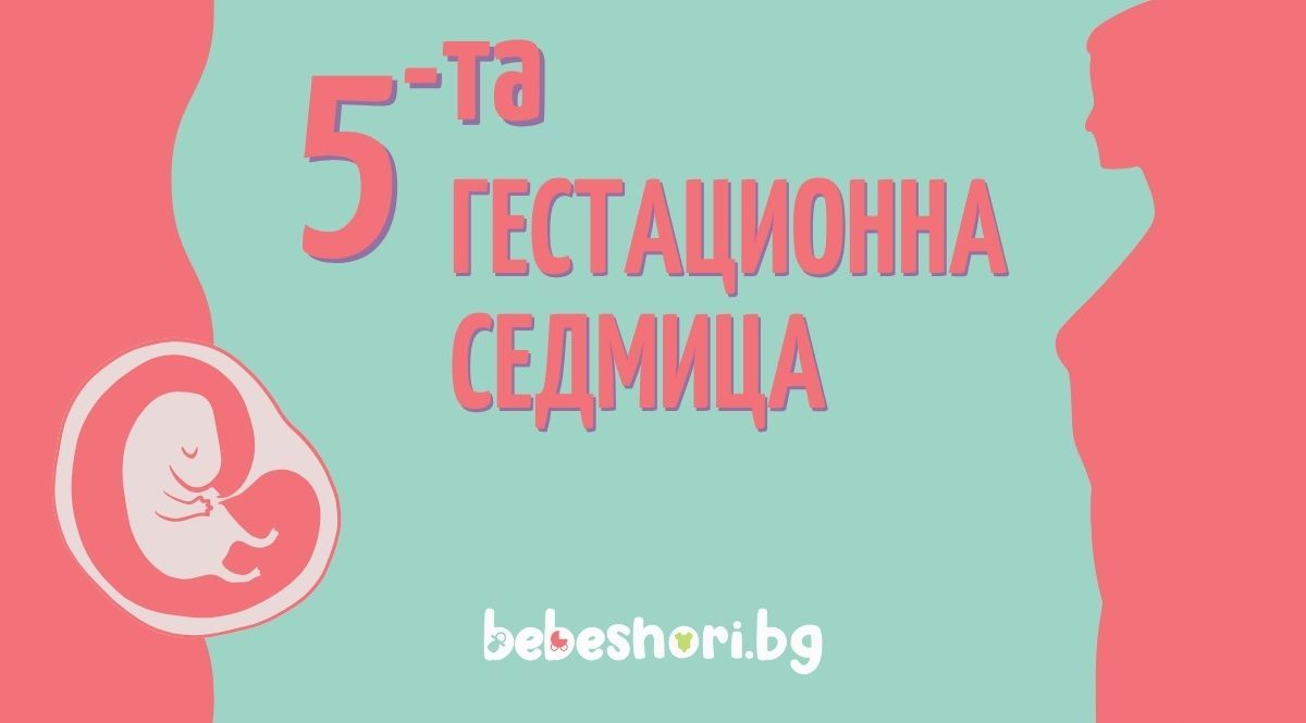 Главна илюстрация за страницата