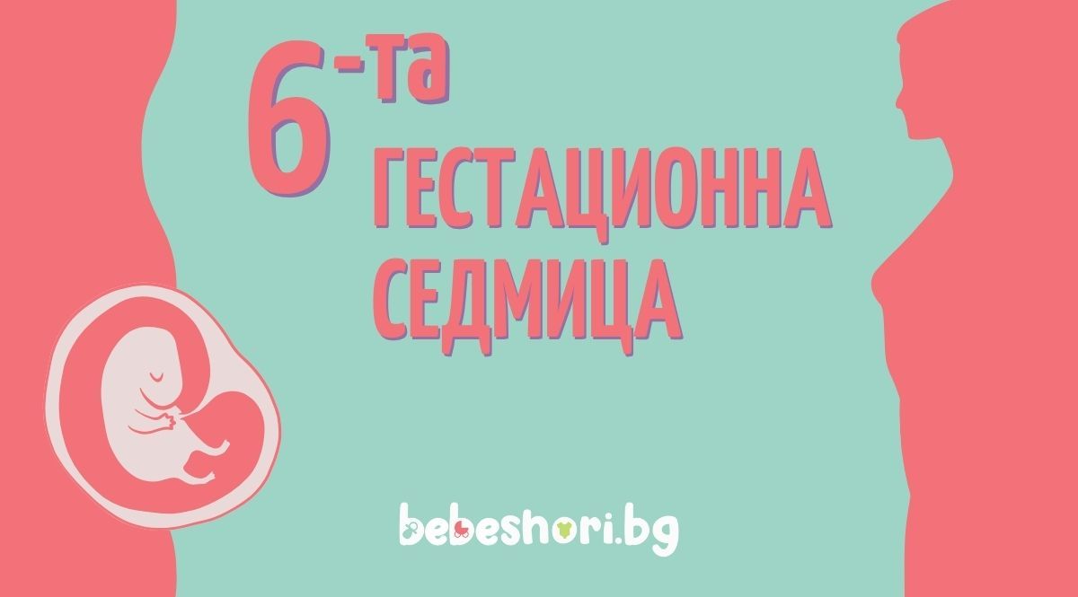 Главна илюстрация за страницата