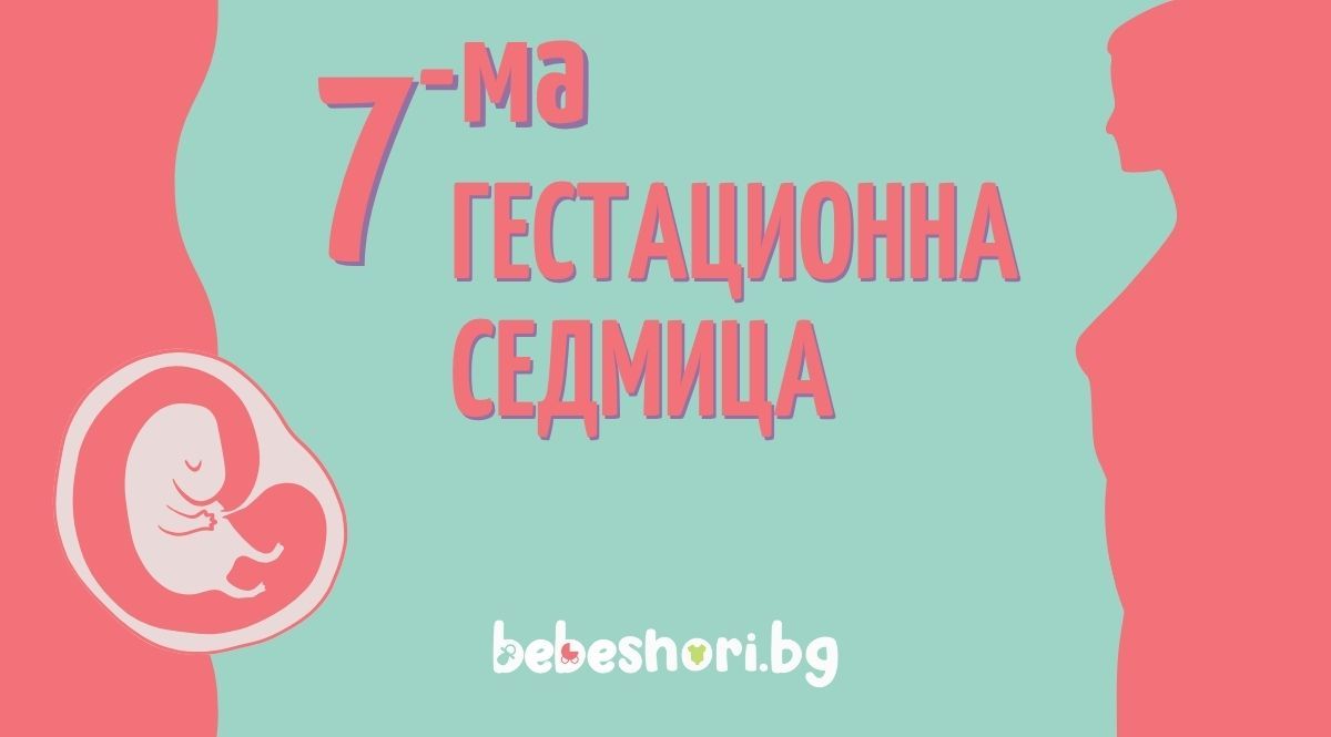 Главна илюстрация за страницата