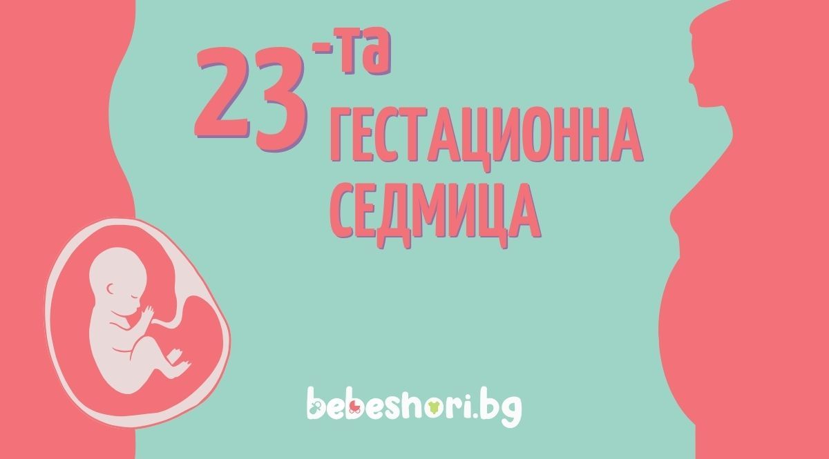 Главна илюстрация за страницата