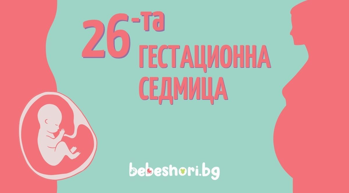 Главна илюстрация за страницата