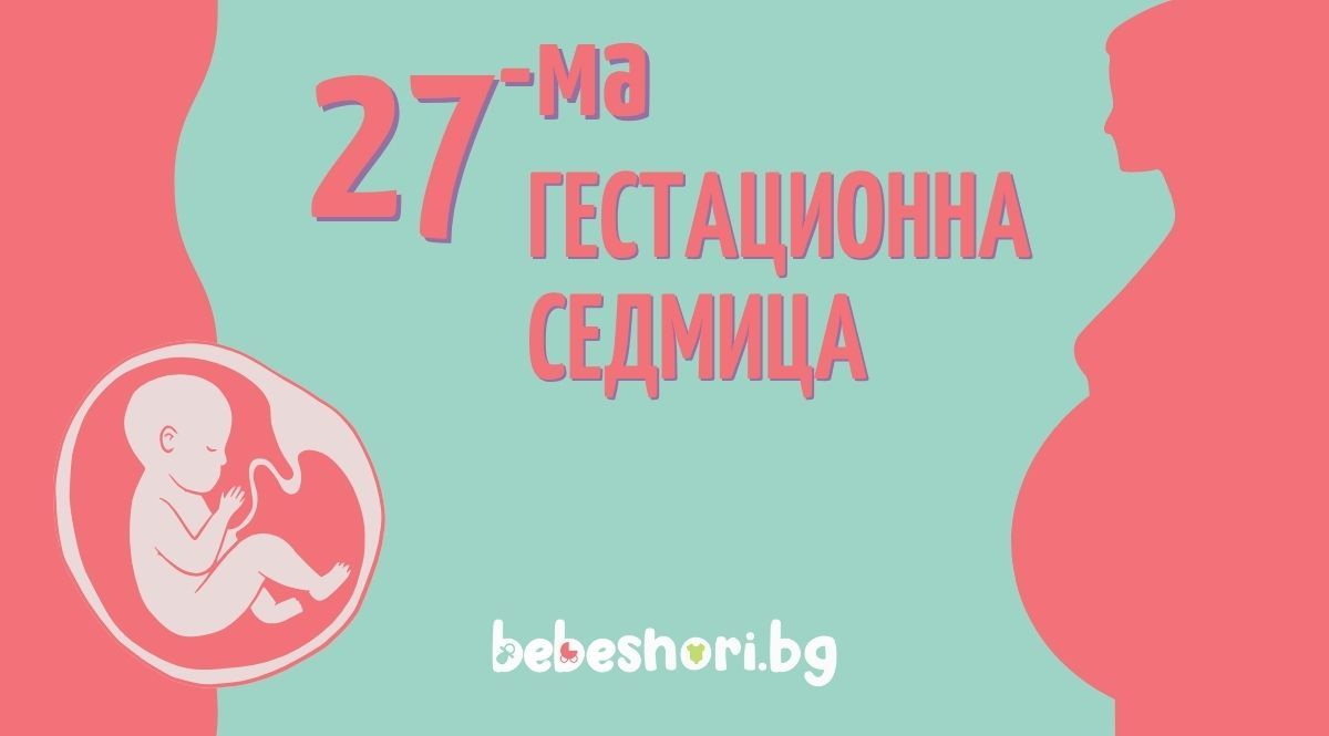 Главна илюстрация за страницата
