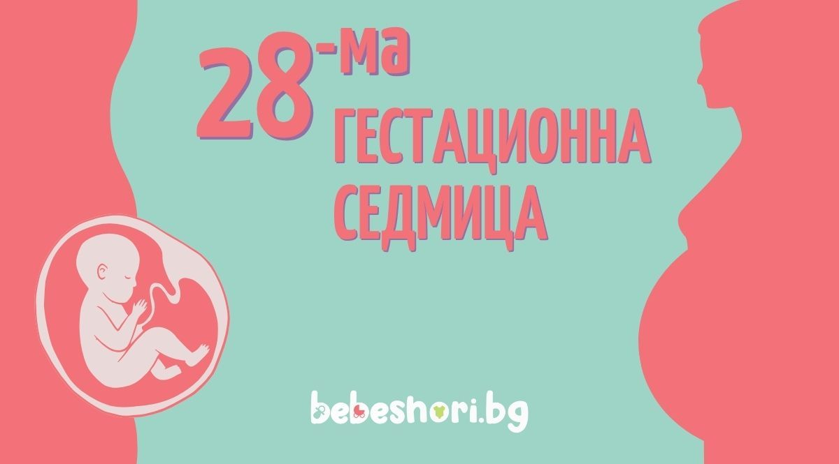 Главна илюстрация за страницата