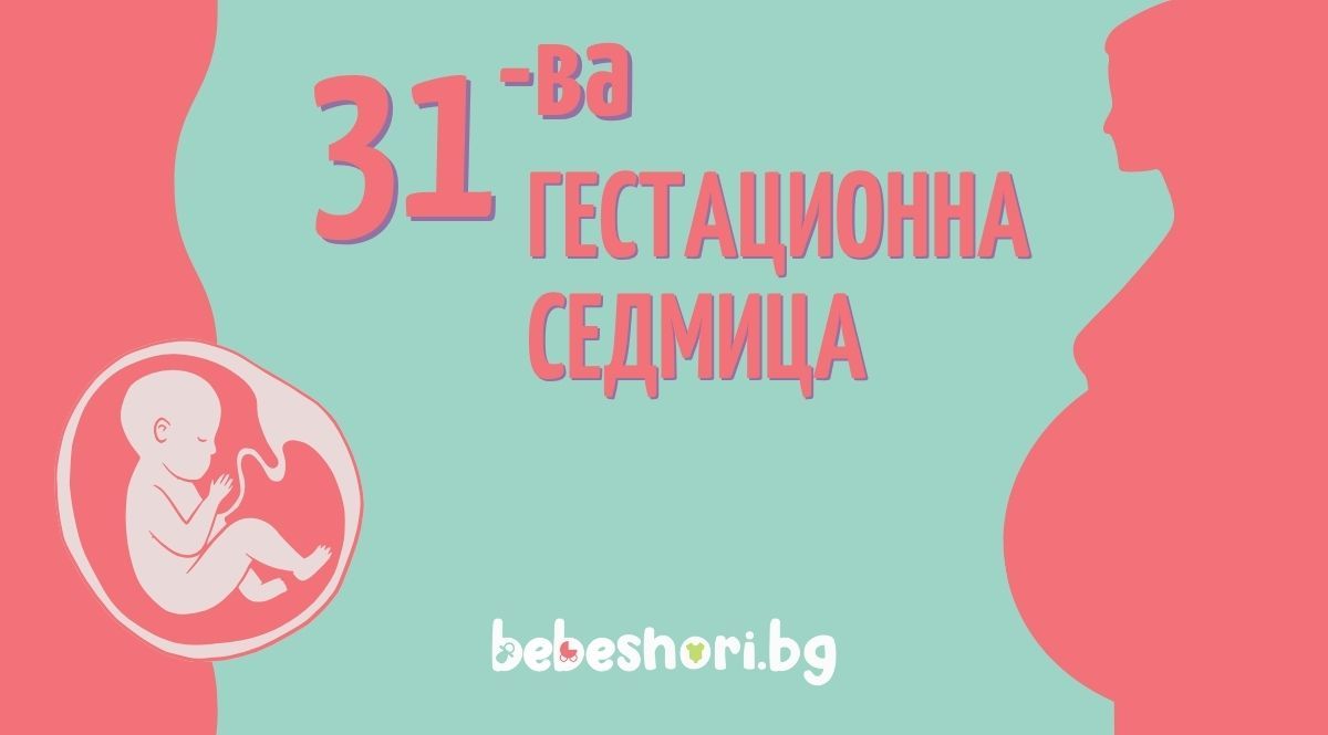 Бременност по гестационни седмици - седмица 31