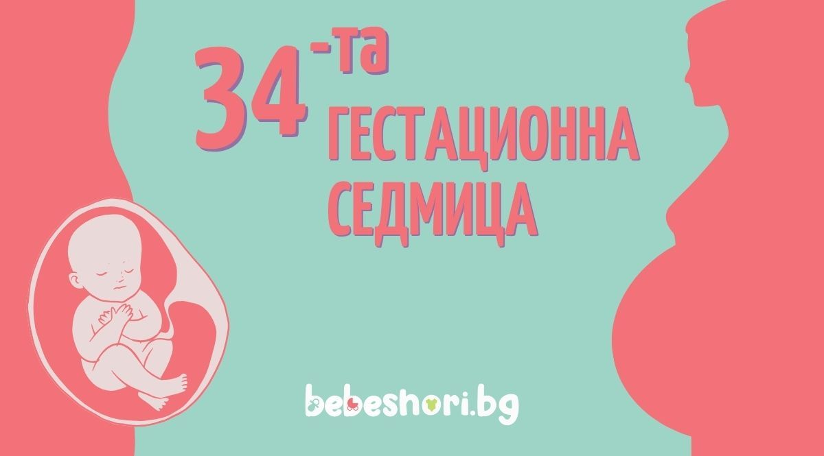 Бременност по гестационни седмици - седмица 34
