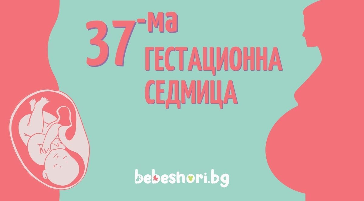 Бременност по гестационни седмици - седмица 37