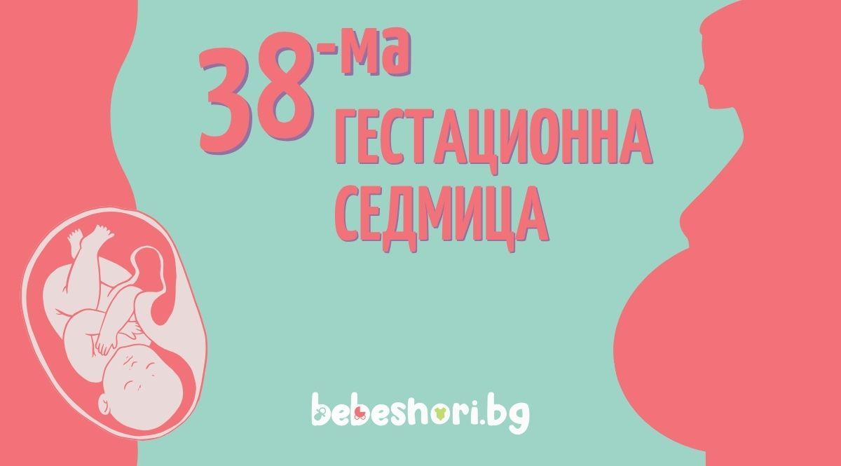 Бременност по гестационни седмици - седмица 38