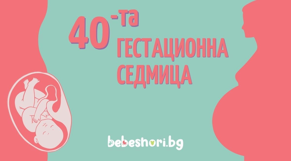 Бременност по гестационни седмици - седмица 40