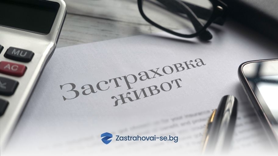 Видове застраховки живот: Пълно ръководство за начинаещи (2025)