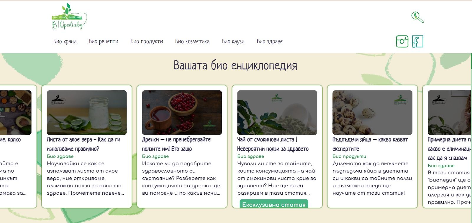 SEO - какво е - пример - Biopedia
