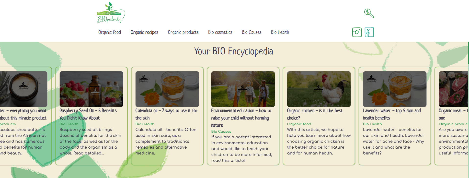 SEO - what is it - My Biopedia example 2