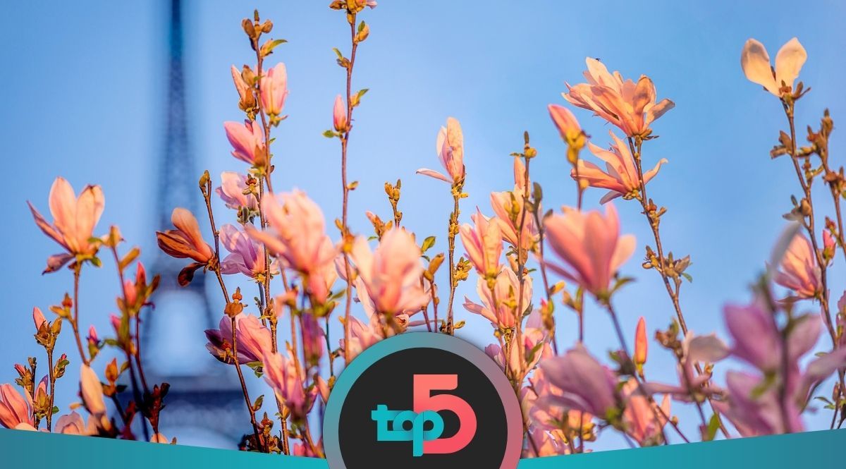 Пролетни дестинации