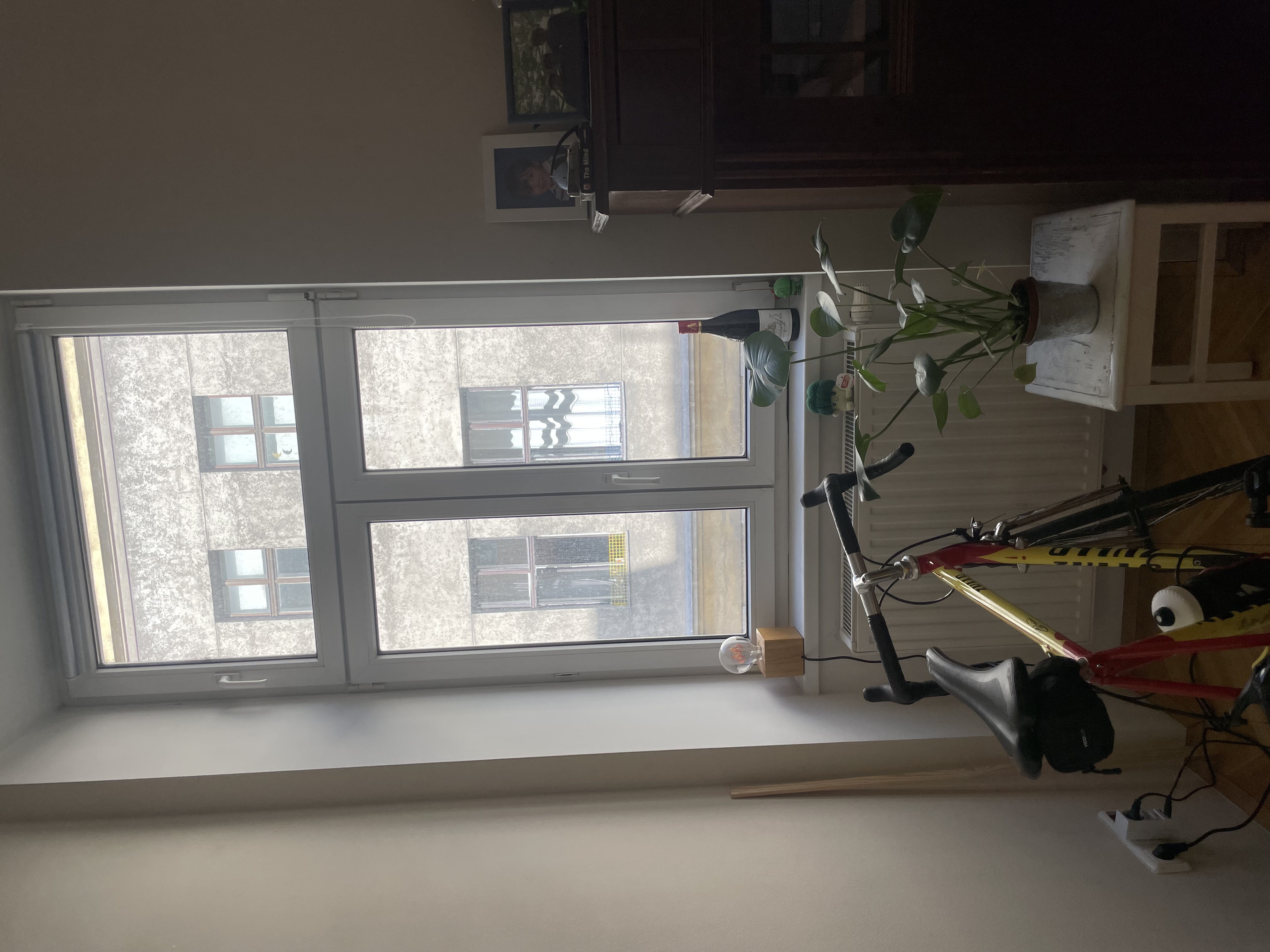 Room view 4