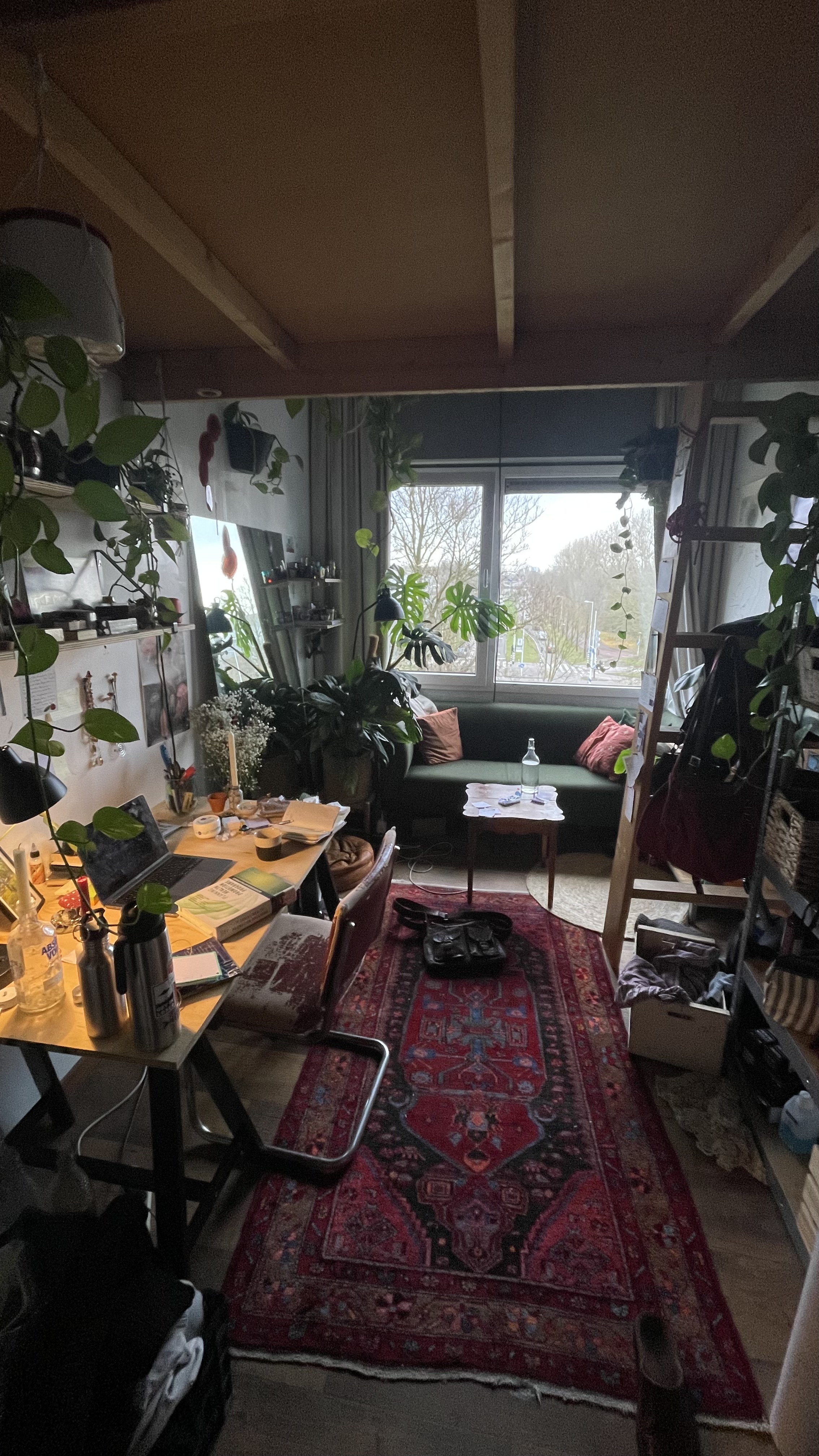 Cover room view