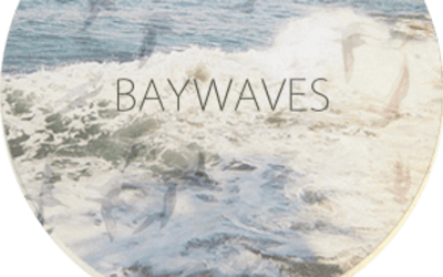 Taste the Music of…Baywaves