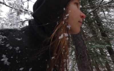 Isabel Pine — Fables (Kranky)