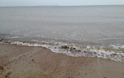 Elbows up, with a bit of chill: Gold Soul Leo – North Shore