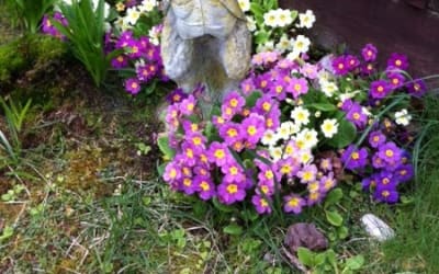 Ambient Sunday double with: rabbitsquirrel, and CIRC