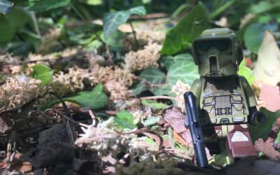 Moody techno with: Grooving Stones – Swamp Noises