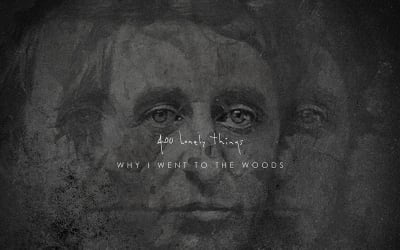 African Paper | 400 Lonely Things: Doppelveröffentlichung auf Cold Spring