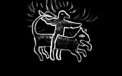 African Paper | Bränn min jord: Nues Album von Fågelle