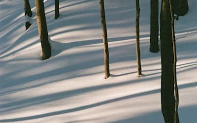 African Paper | Fables: Neue von Isabel Pine auf Kranky