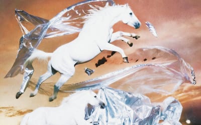 African Paper | Fata Morgana: Schntzl mit ihrem 5. Album