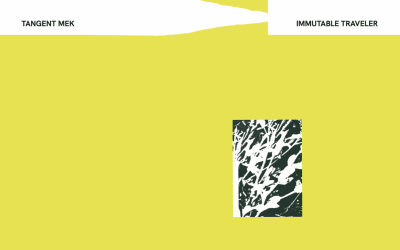 African Paper | Tour und neues Album von Tangent Mek