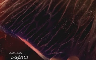 African Paper | Amalie Dahl veröffentlicht Konzertmitschnitt