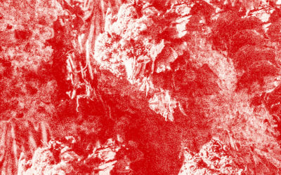 African Paper | Vestibule: Neues von Ed Cooper auf Thanatosis