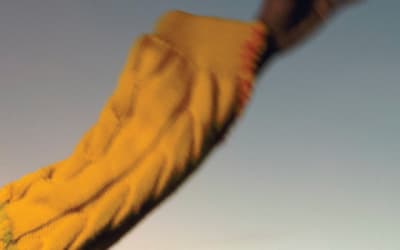 rum.gold - Asleep at the Wheel