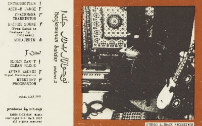 Naujawanan Baidar :: Volume 1 - Aquarium Drunkard