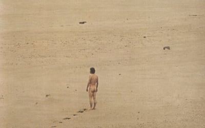 Jean-Claude Vannier :: L’enfant Assassin des Mouches - Aquarium Drunkard