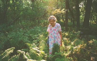 ‘Agatha's Almanac’ Aesthetically Captures Cottagecore Canadian │ Exclaim!