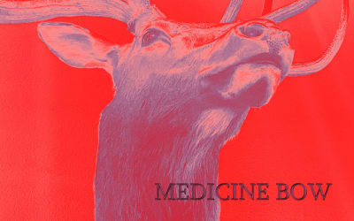 ALÓWAN - Medicine Bow (Glitterhouse)