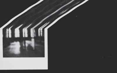 Wilson Tanner Smith – Perpetual Guest (Sawyer Editions)