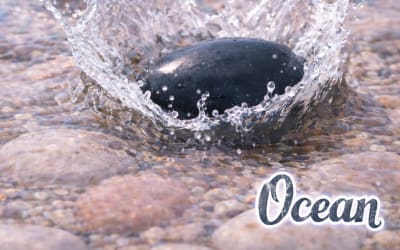 Bear Jr - Emotion Ocean (self-released)