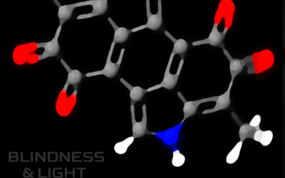 Blindness & Light - Just A Few Milligrams (self-released)