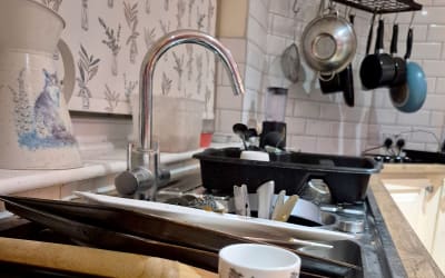 Pantomime Horses - Everyone's A Ghost (self-released)