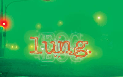 Lung - Fog (Yellow Bike Records)