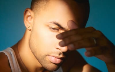 Plato III - Grown (Polyvinyl Records)