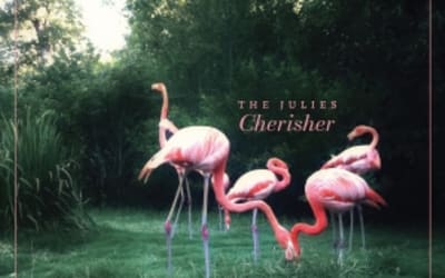 The Julies – Cherisher (Lost in Ohio)