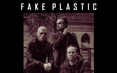 Fake Plastic - Don't Go to Work (self-released)