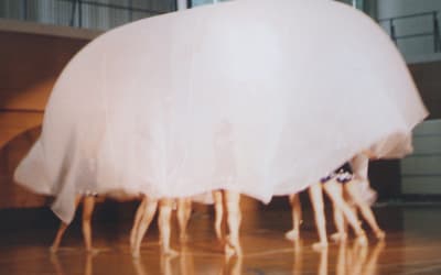 Phew & Danielle de Picciotto - Paper Masks (Mute Records)