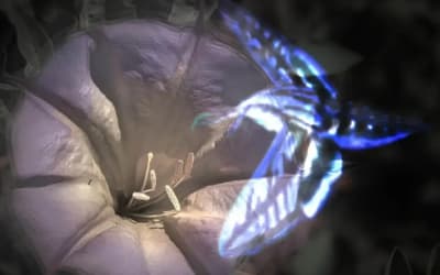 Midnite Radio - Auntie (self-released)