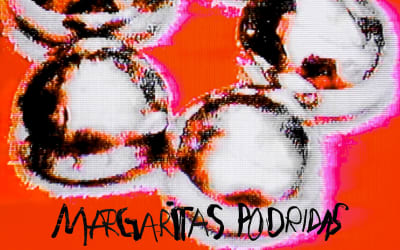 Margaritas Podridas – Metales Pesados (Hopeless Records)